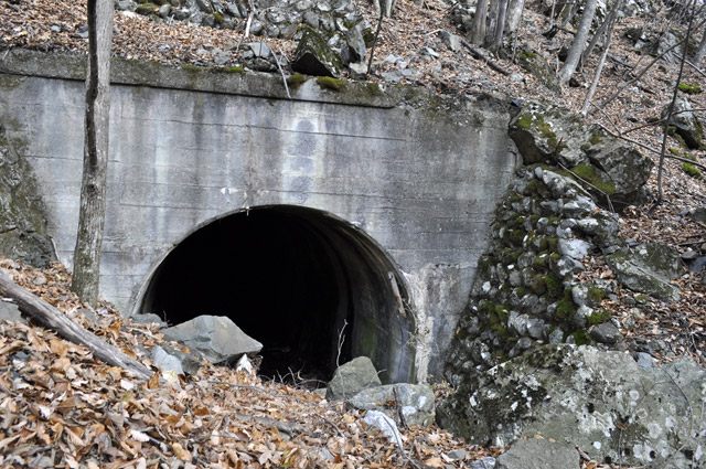 �Y�X�ѓS��,�p����,�ѓS,詓�,�p�g���l��