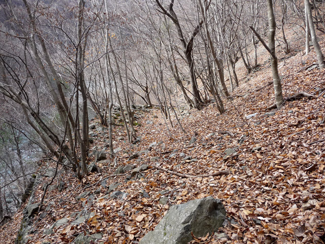 �Y�X�ѓS��,�p����,�ѓS,�O����