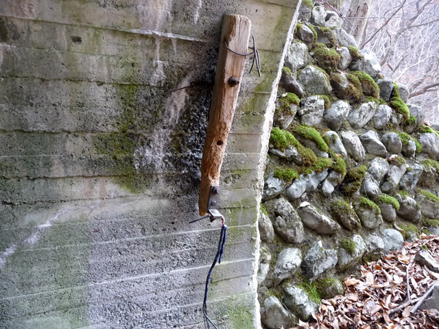 �Y�X�ѓS��,�p����,�ѓS,詓�,�p�g���l��