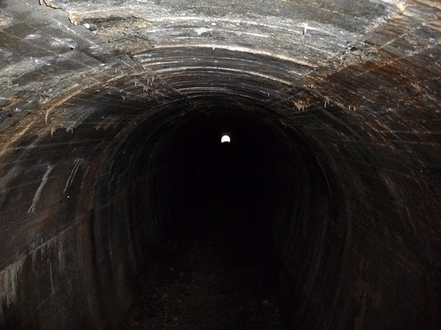 �Y�X�ѓS��,�p����,�ѓS,�g���l��,�p詓�