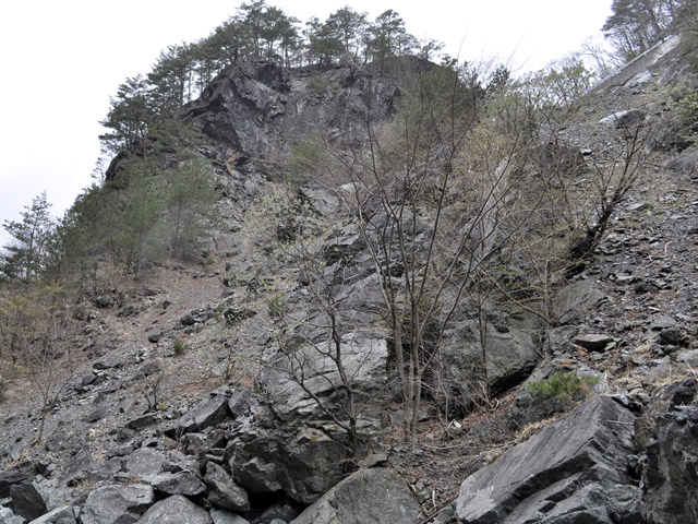 �Y�X�ѓS��,�p����,�ѓS,�g���l��,詓�