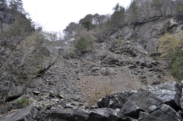 �Y�X�ѓS��,�p����,�O����,�ѓS,��1���g���l��,詓�