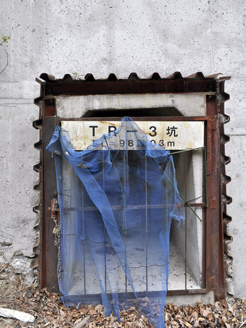 �Y�X�ѓS��,�p����,�ѓS,�O����,�{�[�����O,�ˑ��_��