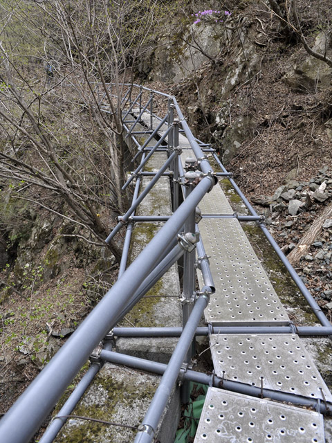 �Y�X�ѓS��,�p����,�ѓS,�R���N���[�g��,�O���싴��,�����ˋ�