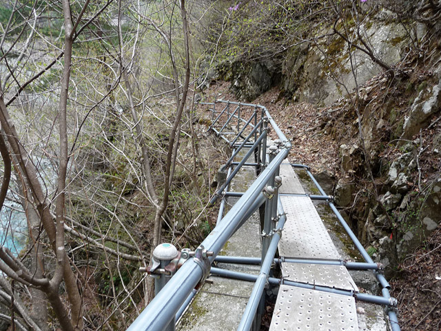 �Y�X�ѓS��,�p����,�ѓS,�R���N���[�g��,�O���싴��,�����ˋ�