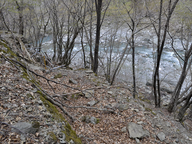 �Y�X�ѓS��,�p����,�ѓS,�݋�,�O����,�ˑ��_��