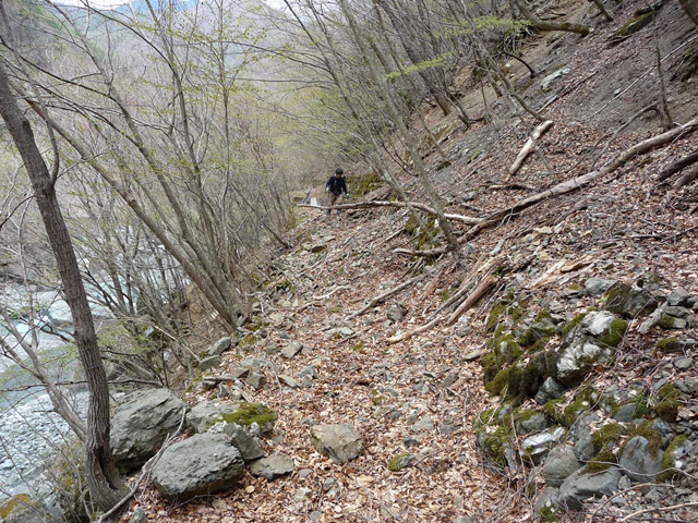 �Y�X�ѓS��,�p����,�ѓS,�O����,�O����