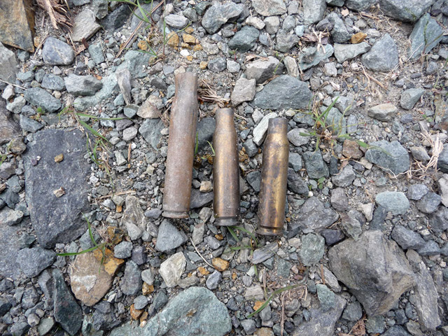 �Y�X�ѓS��,�ѓS,�p����,�O����,�ѓ�,����,�n���^�[,���,���C�t���e