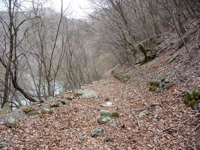 �Y�X�ѓS��,�ѓS,�p����,�O����,�O����,�ѓ�,�ɓ߉c�я�