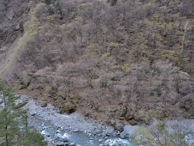 �Y�X�ѓS��,�ѓS,�p����,�O����,�O����,�ѓ�,�ɓ߉c�я�