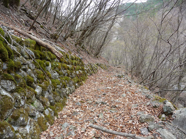 �Y�X�ѓS��,�ѓS,�p����,�O����,�O����,�����,�H��,����