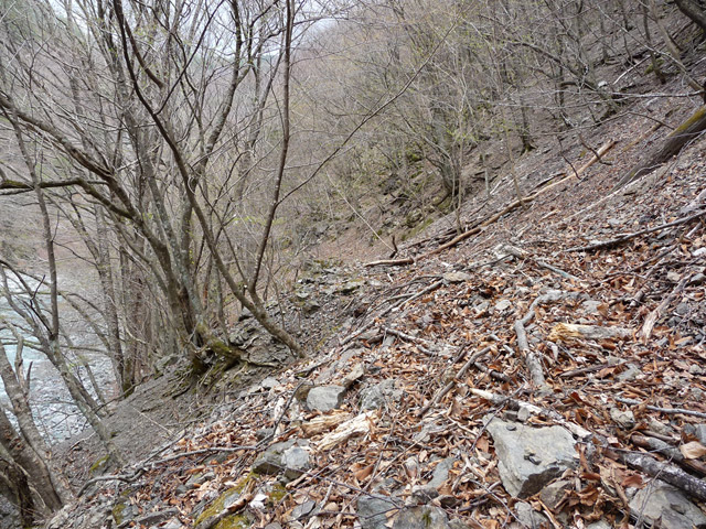 �Y�X�ѓS��,�ѓS,�p����,�O����,�O����,�����ˋ�,�ɓ߉c�я�