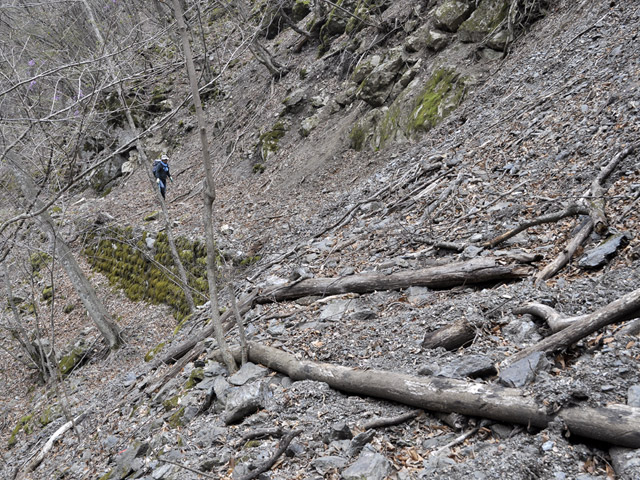 �Y�X�ѓS��,�ѓS,�p����,�O����,�O����,�����ˋ�,�ɓ߉c�я�