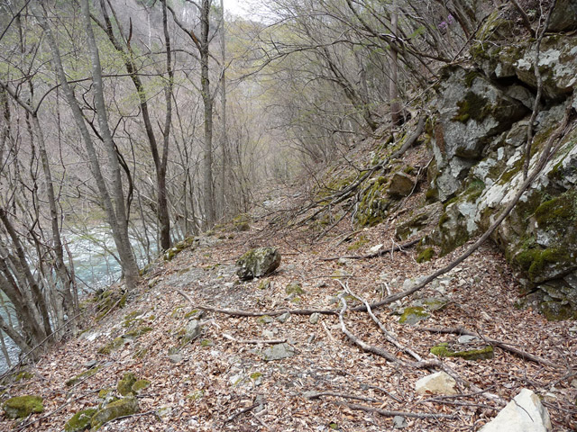 �Y�X�ѓS��,�ѓS,�p����,�O����,�O����,���ˋ�,�ɓ߉c�я�