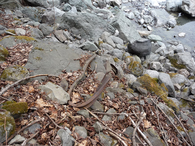 �Y�X�ѓS��,�p����,�O����,�ѓS,�c�я��O��,���[��,���H