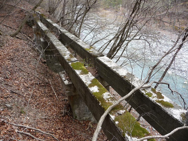 �Y�X�ѓS��,�p����,�ѓS,��7������,�i���[�O��,�ɓ߉c�я�,�ɓߎs