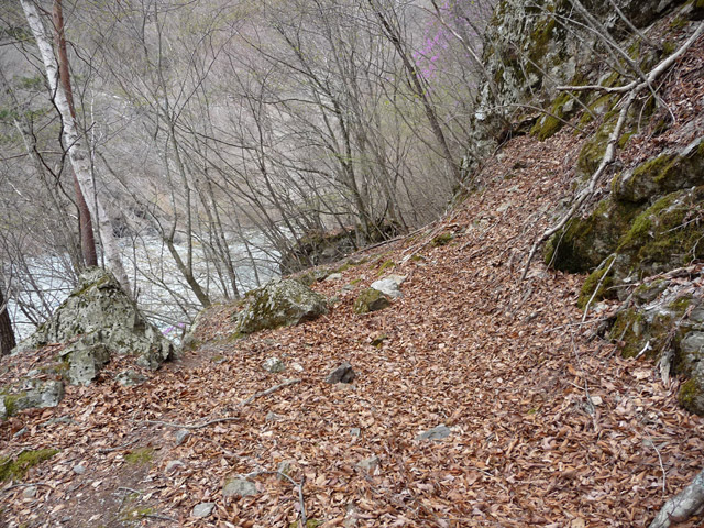 �Y�X�ѓS��,�p����,�O����,�ѓS,�O����,�ɓ߉c�я�,���J��,�ɓߗ���