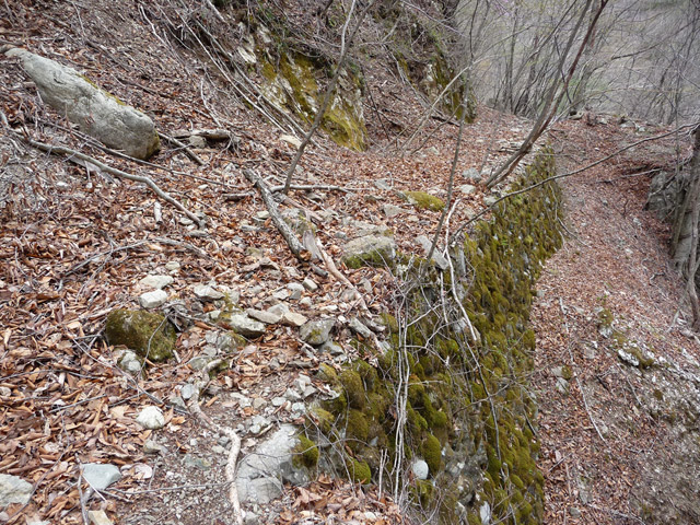 �Y�X�ѓS��,�p����,�ѓS,�O����,�i���[�O����,�i��,�Ί_