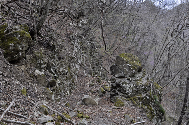 �Y�X�ѓS��,�p����,�ѓS,�O����,�i���[�O����,�ؒʂ�,����