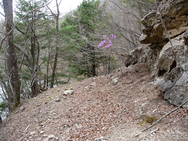 �Y�X�ѓS��,�p����,�ѓS,�O����,�c�я��O����,����,�J�[�u