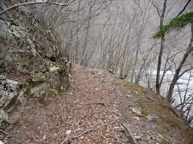 �Y�X�ѓS��,�p����,�ѓS,�O����,�c�я��O����,�J�[�u,�H��