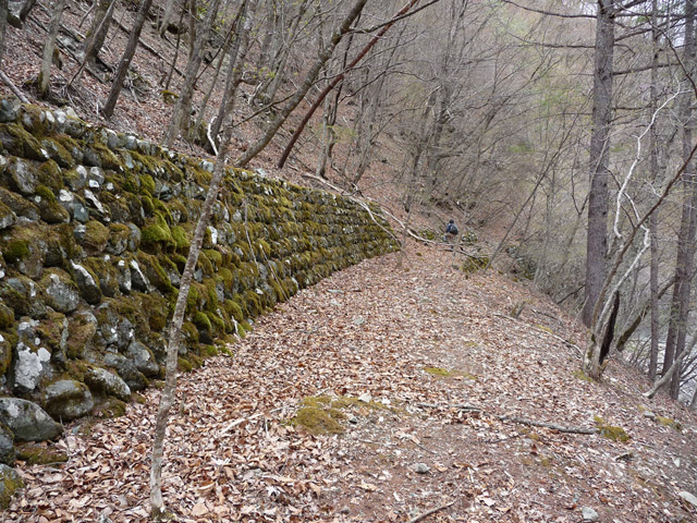 �Y�ѓS,�p����,�X�ѓS��,�O����,�y�֋O����,����,�Ί_