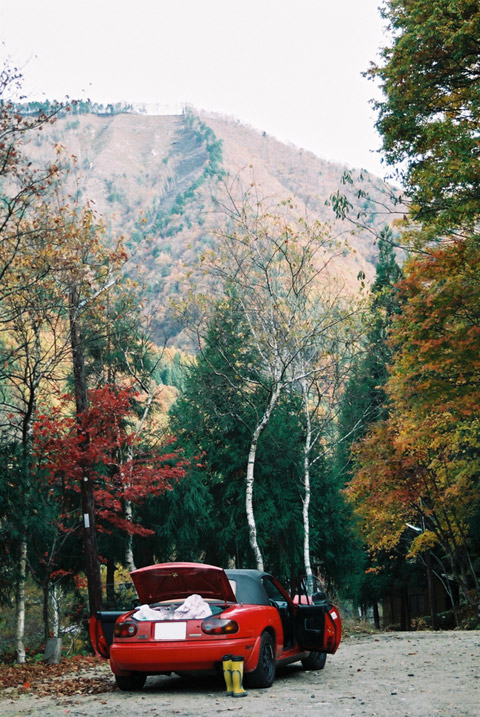 ���،ːX�ѓS��,�o�Z�k�J�e���g��,���[�m�X���[�h�X�^�[