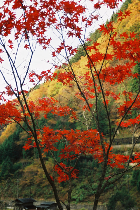 ���،ːX�ѓS��,�o�Z�k�J�L�����v��,�g�t