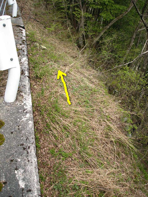 ���،ːX�ѓS��,�ѓS,�p����,��K�͗ѓ�