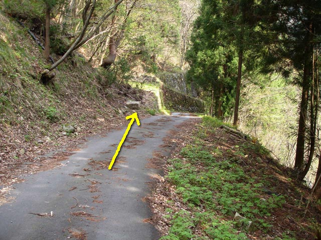 ���،ːX�ѓS��,�ѓS,�p����