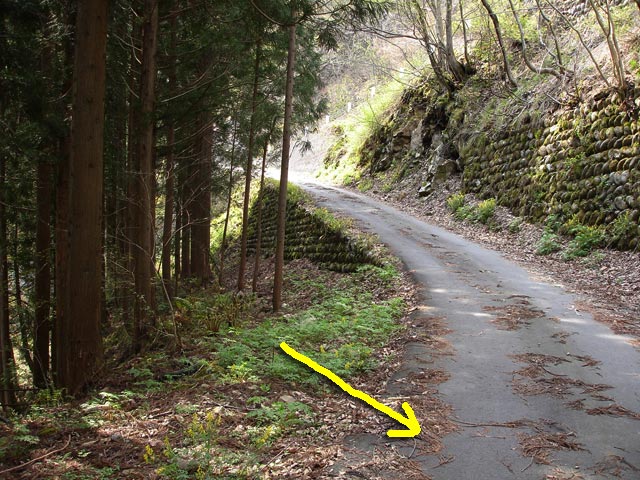 ���،ːX�ѓS��,�ѓS,�p����