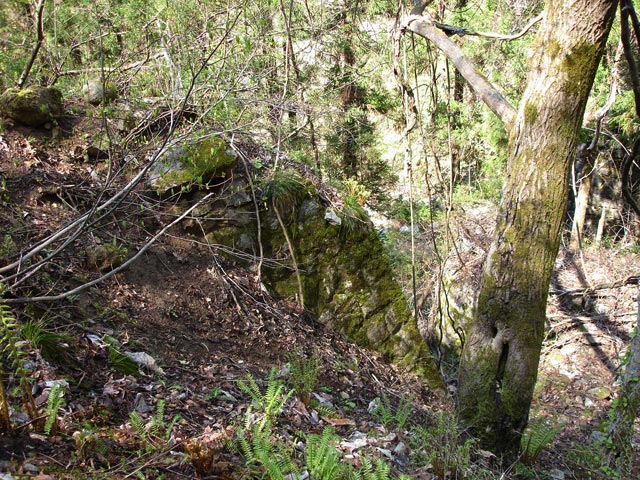 ���،˗ѓS,�X�ѓS��,�R���J����,�p��