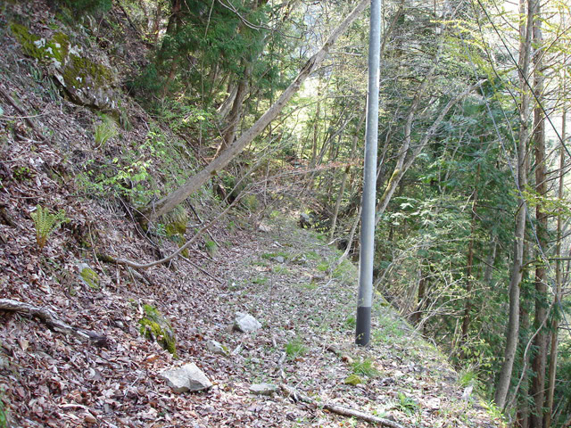 ���،ːX�ѓS��,�ѓS,�p����,����