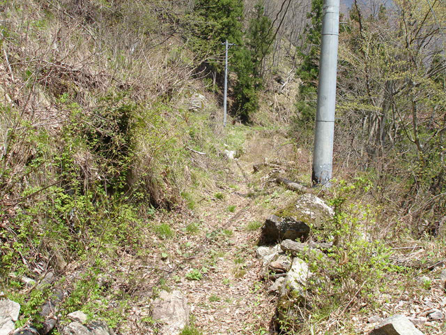 ���،ːX�ѓS���u������J�[�ѓ��������v