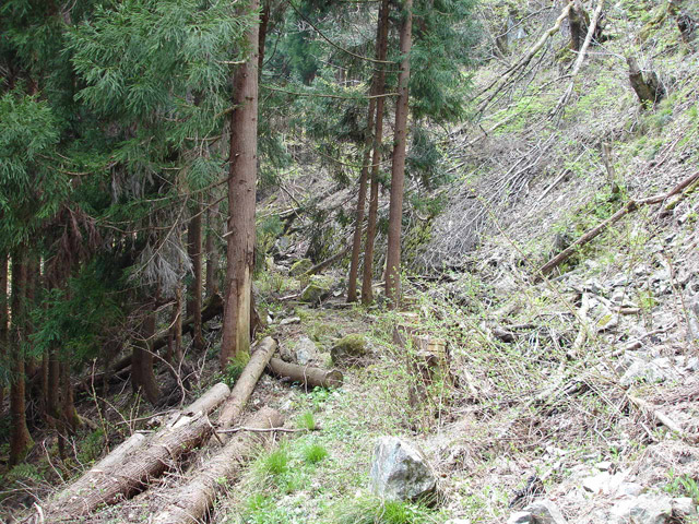 ���،ːX�ѓS���u������J�[�ѓ��������v