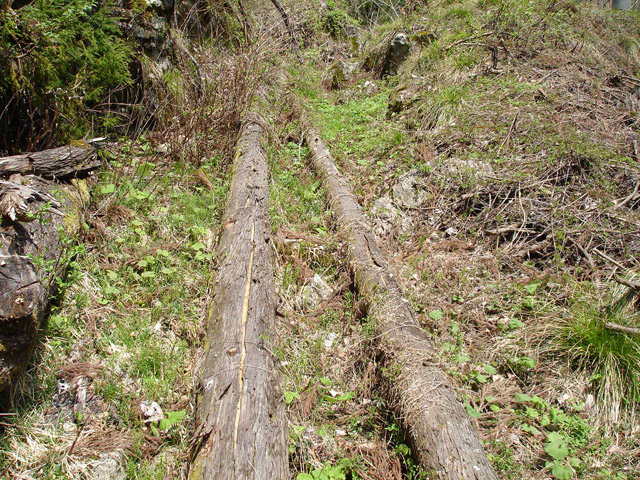 ���،ːX�ѓS���u������J�[�ѓ��������v