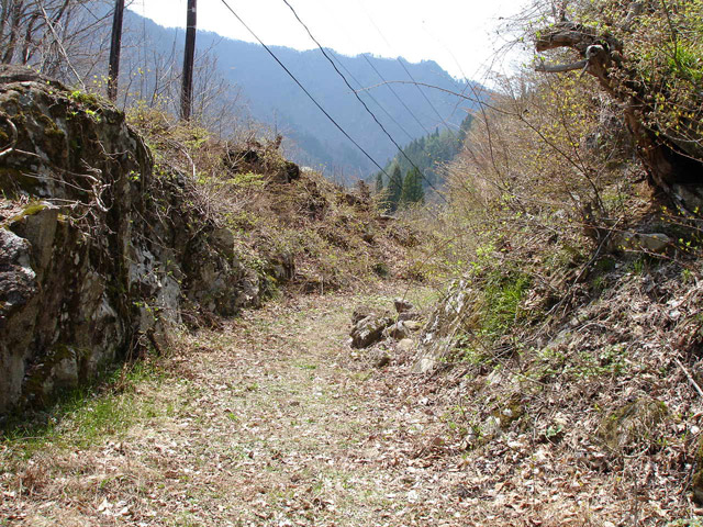 ���،˗ѓS�u������J�[�ѓ��������v