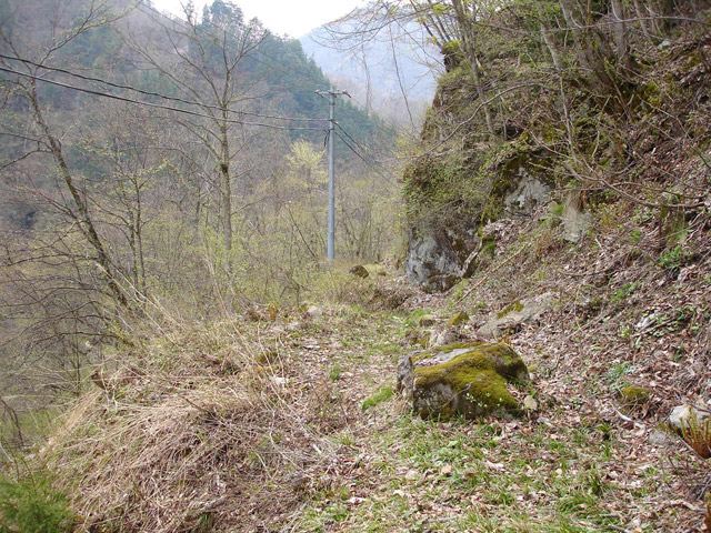 ���،˗ѓS�u������J�[�ѓ��������v