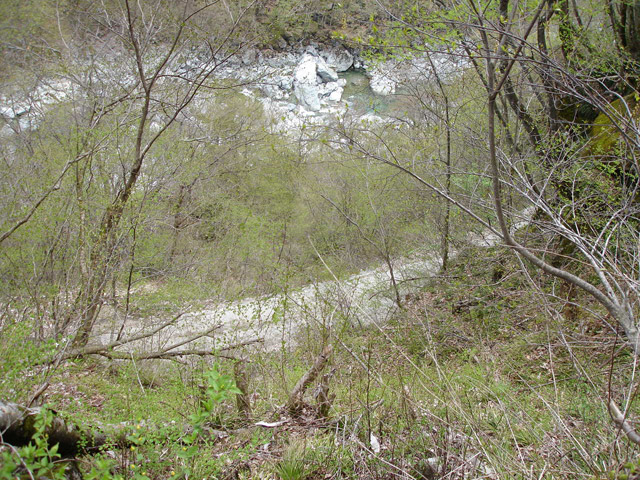 ���،˗ѓS�u������J�[�ѓ��������v