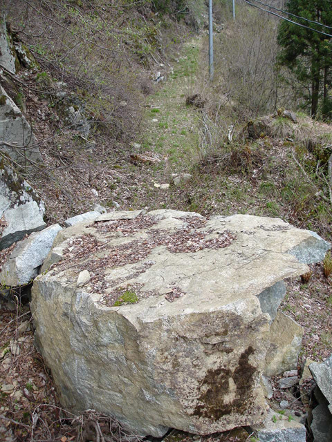 ���،ːX�ѓS��,�ѓS,�p����