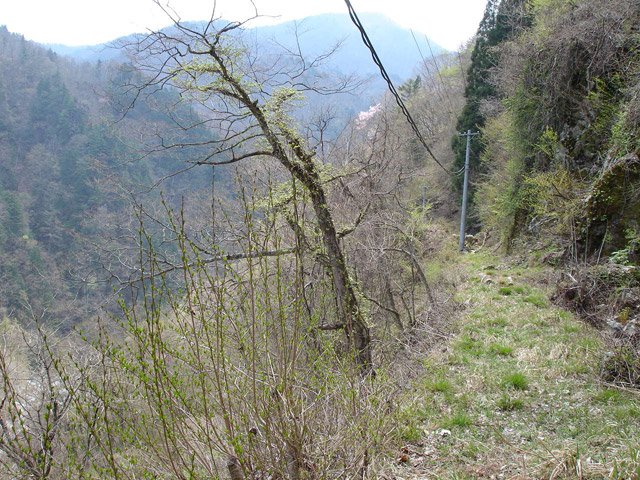 ���،ːX�ѓS��,�ѓS,�p����,�O����