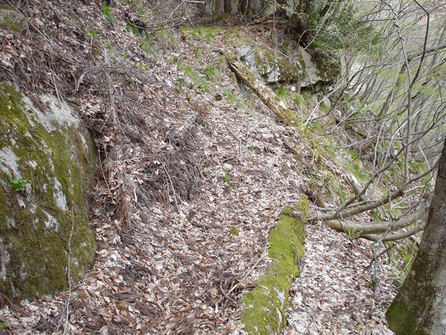 ���،ːX�ѓS���u������J�[�ѓ��������v