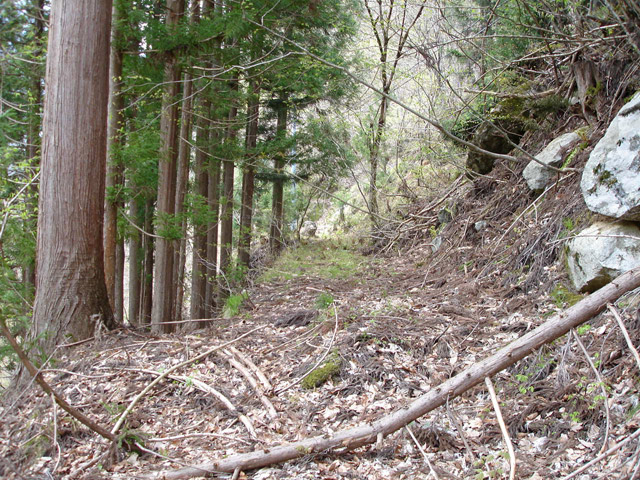 ���،ːX�ѓS���u������J�[�ѓ��������v