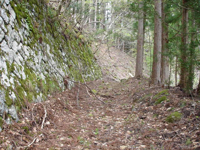 ���،ːX�ѓS���u������J�[�ѓ��������v