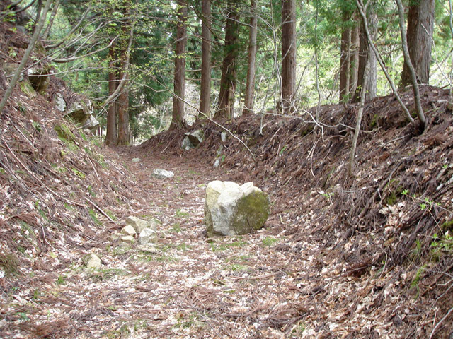 ���،ːX�ѓS���u������J�[�ѓ��������v