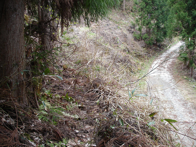 ������J�[�ѓ�������