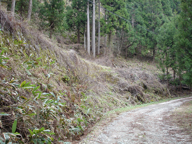 ������J�[�ѓ�������