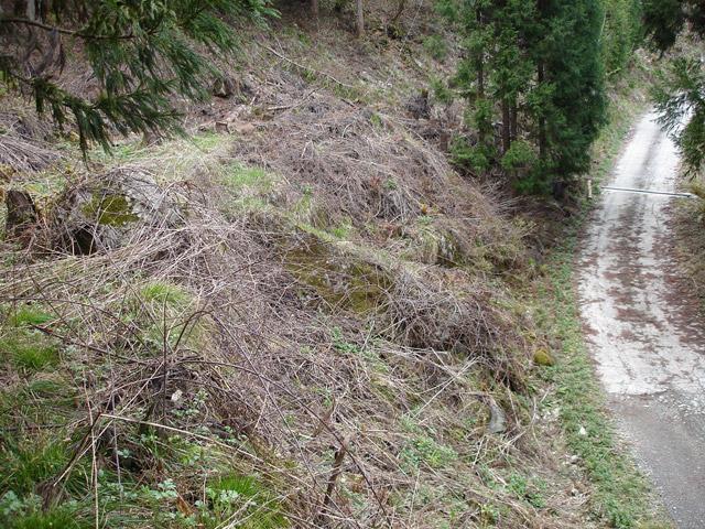 ������J�[�ѓ�������