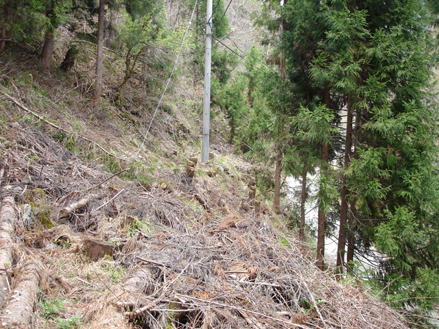 ������J�[�ѓ�������