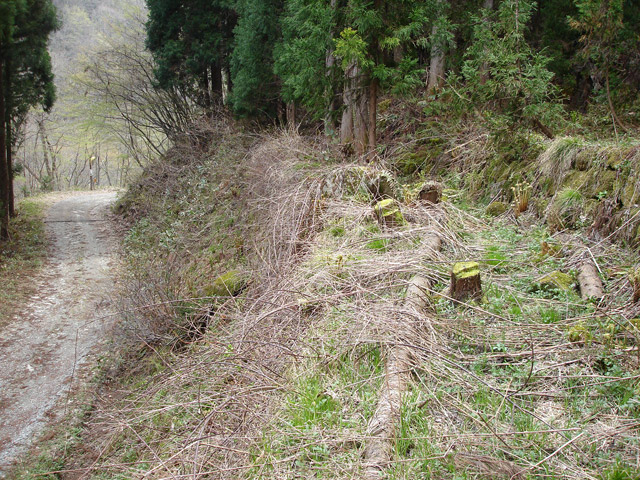 ������J�[�ѓ�������